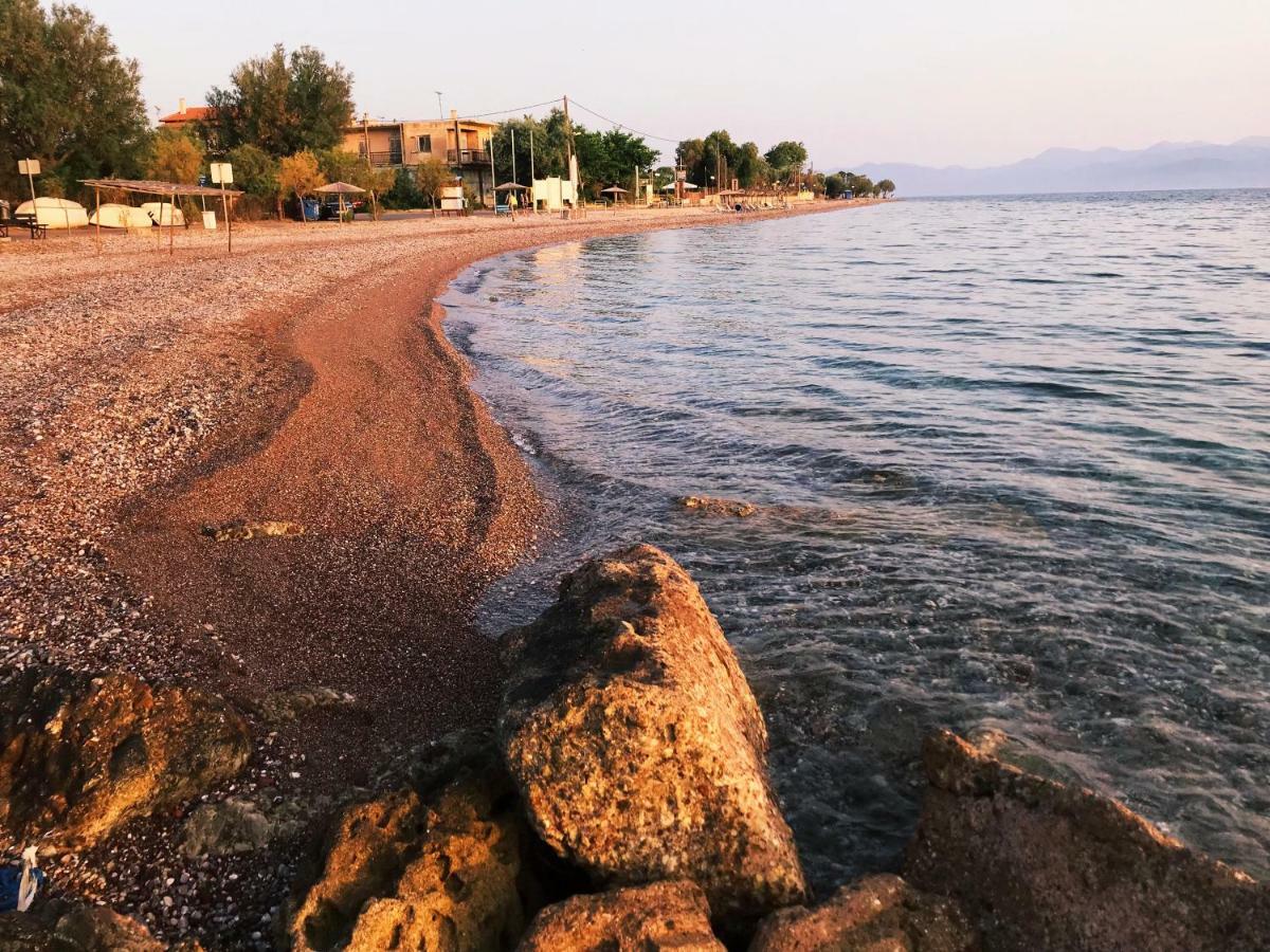 Seaside House Βίλα Αίγιο Εξωτερικό φωτογραφία
