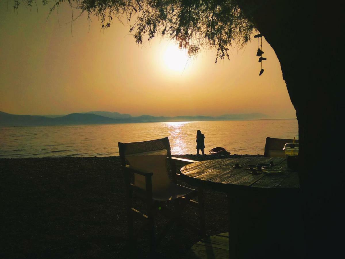 Seaside House Βίλα Αίγιο Εξωτερικό φωτογραφία