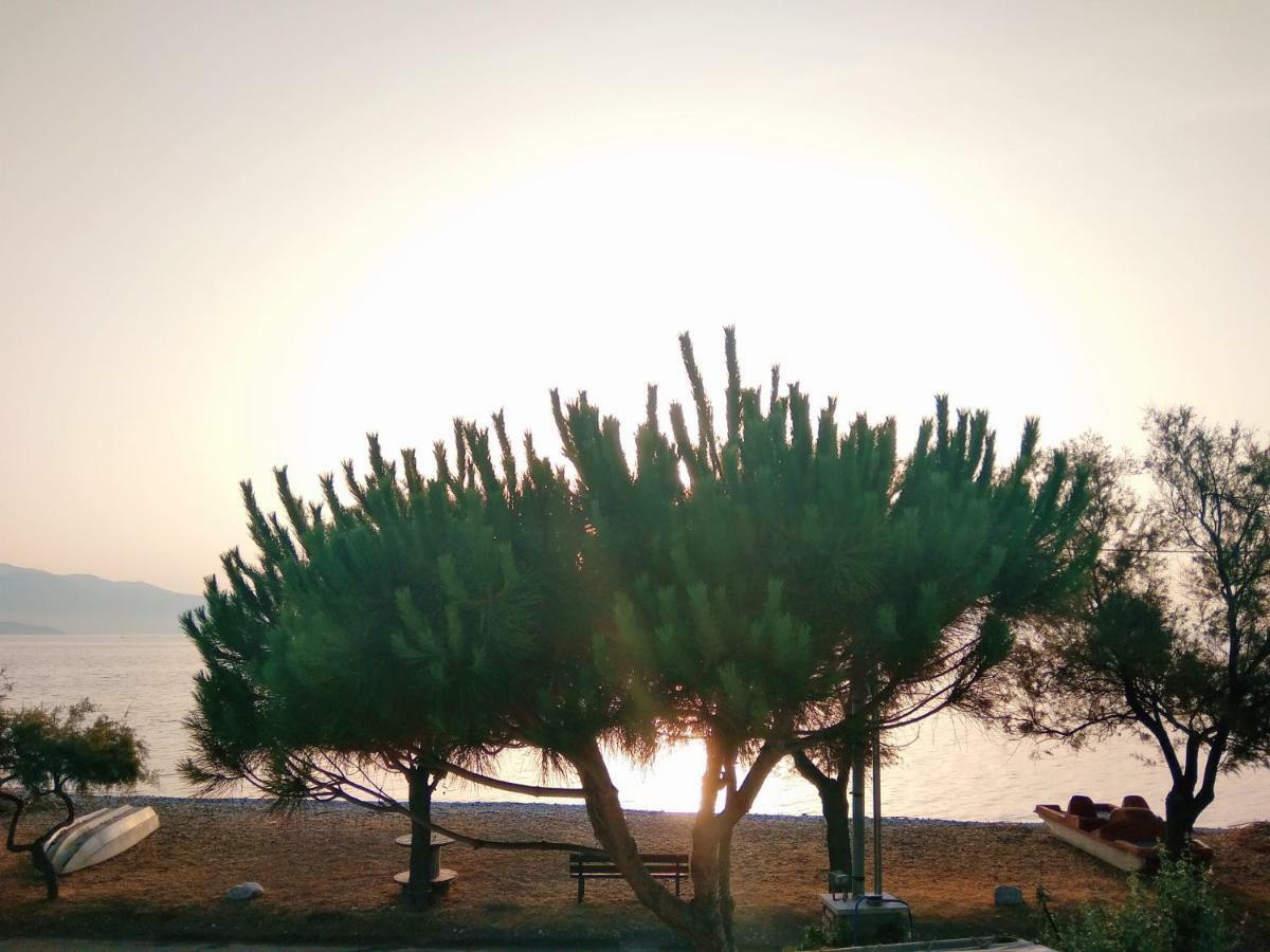Seaside House Βίλα Αίγιο Εξωτερικό φωτογραφία